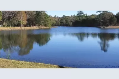 26642 Red Oak Drive, Hempstead, TX 77445 - Photo 2