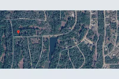 26642 Red Oak Drive, Hempstead, TX 77445 - Photo 4