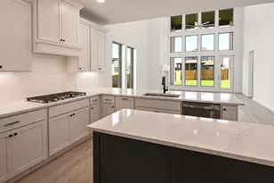 315 Prickly Poppy Loop, Kyle, TX 78640 - Photo 16