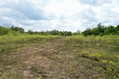 Tbd Lot 19 Kovar Road, Smithville, TX 78957 - Photo 6