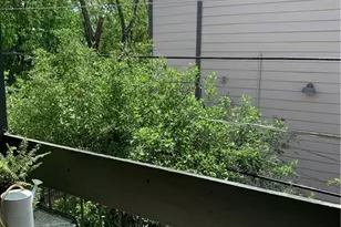 601 Nelray Blvd, Austin, TX 78751 - Photo 6