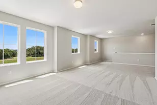 370 Golden Paint Trl, Liberty Hill, TX 78642 - Photo 18