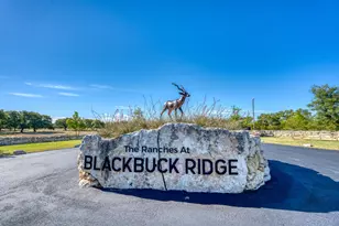 224 Blackbuck Rdg Dr, Lampasas, TX 76550 - Photo 40