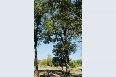 640 County Road 475 Road, Luling, TX 78648 - Photo 10