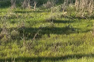 1304 E Cameron Ave, Rockdale, TX 76567 - Photo 10