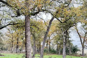 11791 Silver Springs Rd, Rockdale, TX 76567 - Photo 28