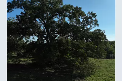 Tbd Lot 4 Randermann Road, Brenham, TX 77833 - Photo 2
