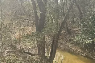 1225 W Hwy 71 Hwy W, Smithville, TX 78957 - Photo 28