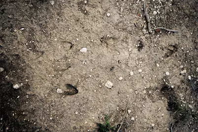 20801 Hamilton Pool Road, Austin, TX 78738 - Photo 14