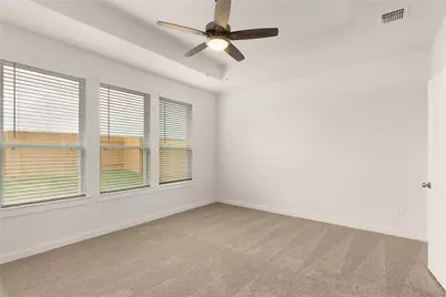 325 Blue Vervain Trail, Georgetown, TX 78633 - Photo 12