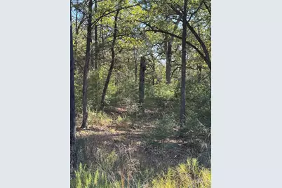 Lot 130 Wailupe Circle, Bastrop, TX 78602 - Photo 1