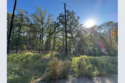Lot 130 Wailupe Circle, Bastrop, TX 78602 - Photo 6