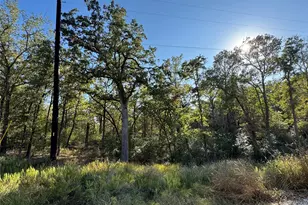 Lot 130 Wailupe Circle, Bastrop, TX 78602 - Photo 1