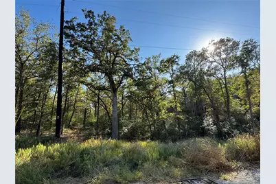 Lot 130 Wailupe Circle, Bastrop, TX 78602 - Photo 2