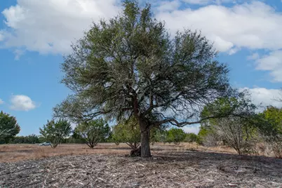 Tbd Burnet Oaks Lot 20 Drive, Burnet, TX 78611 - Photo 10