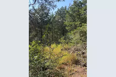 667 Paint Creek South Road, Paige, TX 78659 - Photo 16