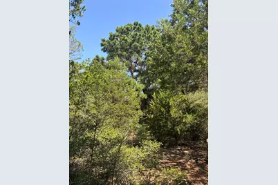 667 Paint Creek South Road, Paige, TX 78659 - Photo 18