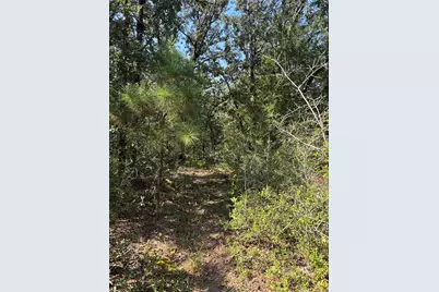 667 Paint Creek South Road, Paige, TX 78659 - Photo 4