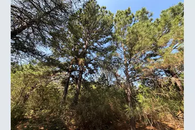 667 Paint Creek South Road, Paige, TX 78659 - Photo 20
