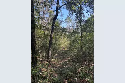 667 Paint Creek South Road, Paige, TX 78659 - Photo 14