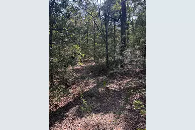 667 Paint Creek South Road, Paige, TX 78659 - Photo 2