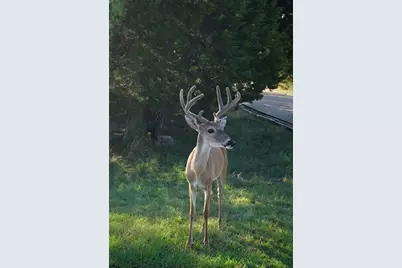 2603 Patriot Drive, Lago Vista, TX 78645 - Photo 10