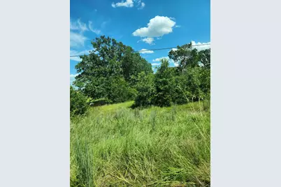 Lot-1 Fm-2336, Bastrop, TX 78602 - Photo 4