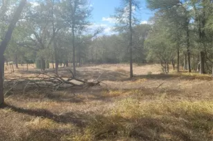 2492 Fm 1704, Elgin, TX 78621 - Photo 2