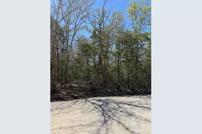 Lot 538 Iva Lane, Bastrop, TX 78602 - Photo 1