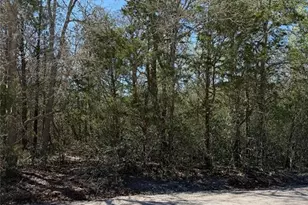 Lot 538 Iva Ln, Bastrop, TX 78602 - Photo 1