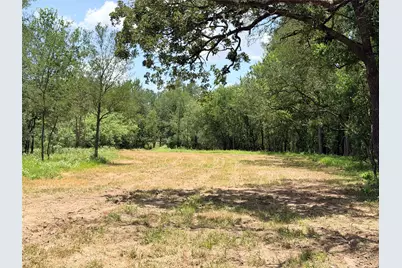 Tbd Fm 86 Tract 2 Highway, Luling, TX 78648 - Photo 8