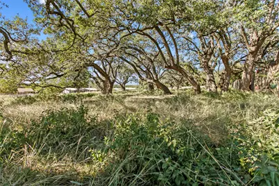 1400 Greenlawn Parkway, Blanco, TX 78606 - Photo 6