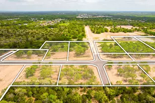 272 Canyon Loop, Cedar Creek, TX 78612 - Photo 18