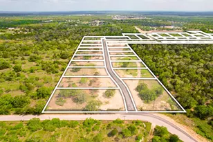 272 Canyon Loop, Cedar Creek, TX 78612 - Photo 10