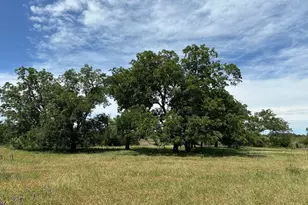 Tbd County Road 330, Bertram, TX 78605 - Photo 8