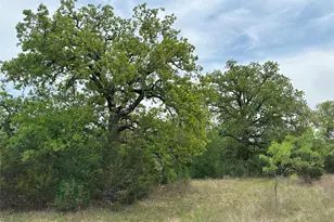 Tbd County Road 330, Bertram, TX 78605 - Photo 12