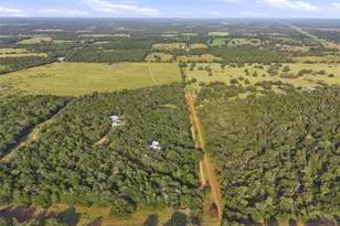 299 Nink Rd, Smithville, TX 78957 - Photo 32
