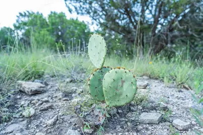 [Address not provided], Blanco, TX 78606 - Photo 8