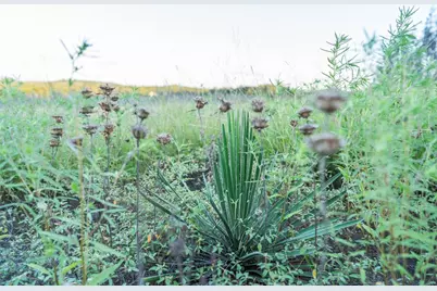 [Address not provided], Blanco, TX 78606 - Photo 16