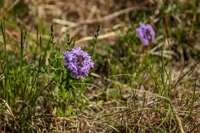 Tbd Saddle Ridge Drive, Bertram, TX 78605 - Photo 32