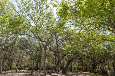 2088 (Tract #3) Baca Loop, Flatonia, TX 78941 - Photo 20