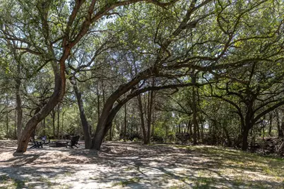 2088 (Tract #3) Baca Loop, Flatonia, TX 78941 - Photo 4