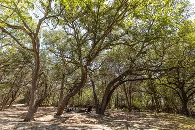 2088 (Tract #3) Baca Loop, Flatonia, TX 78941 - Photo 12