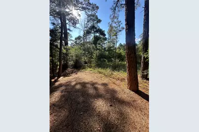 0 Pine Oak Drive, Bastrop, TX 78602 - Photo 2