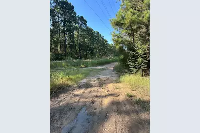 0 Pine Oak Drive, Bastrop, TX 78602 - Photo 4