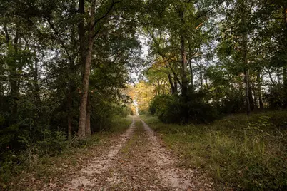 21 Anderson Lane, Coldspring, TX 77331 - Photo 20