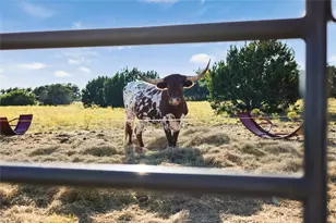 111 County Rd 253, Bertram, TX 78605 - Photo 36