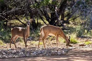 4404 Longfellow Cove, Lago Vista, TX 78645 - Photo 16