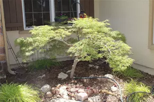 503 Dawson Trail, Georgetown, TX 78633 - Photo 26