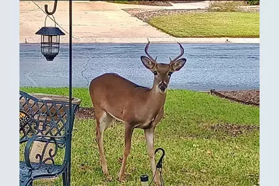 503 Dawson Trail, Georgetown, TX 78633 - Photo 6